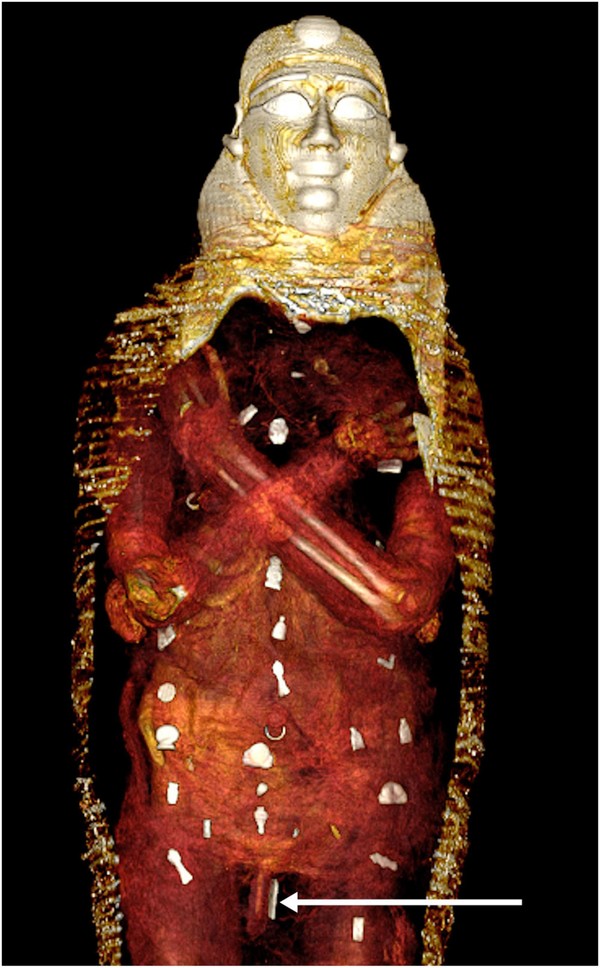 카이로 대학 고고학 팀이 촬영한 2300년 된 미라 관의 CT 사진, 128㎝ 신장의 미라와 함께 사후 세계에 대비하기 위한 49개의 부적이 묻혔다 사진출처: Frontiers in Medicine 홈페이지 캡처
