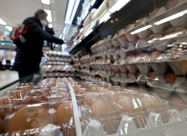 조류 인플루엔자(AI) 확산세로 계란 가격이 오르는 가운데 10일 오후 서울의 한 대형 마트에서 시민들이 계란을 구매하고 있다. 연합뉴스