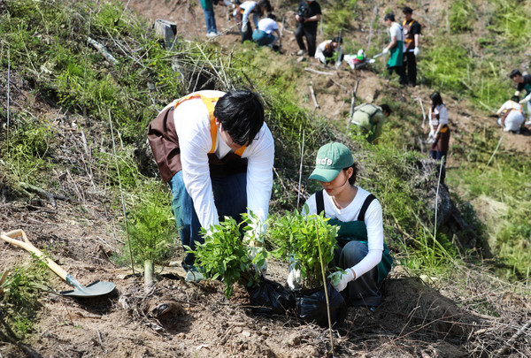 지난 19일 울진 나곡리에서 한화그룹 태양의 숲 11호 '탄소 마시는 숲:울진' 조성행사 참가자들이 나무를 식재하고 있다. 한화그룹 제공
