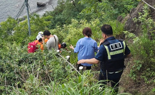 울릉119안전센터 제공