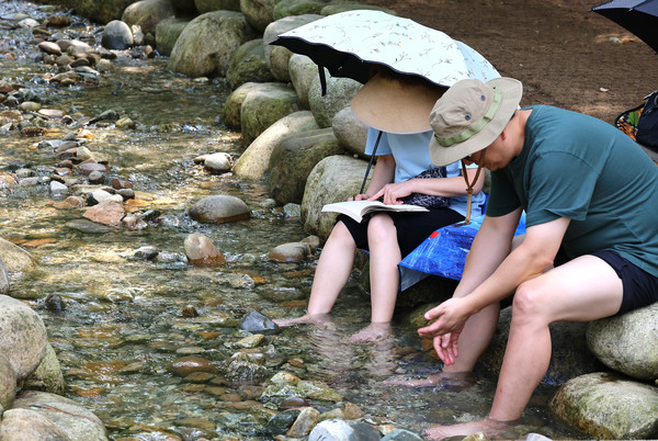 = 폭염이 이어지고 있는 16일 오후 인천 남동구 인천대공원 개울 숲을 찾은 한 시민이 개울에 발을 담그고 책을 읽으며 더위를 식히고 있다. 연합뉴스