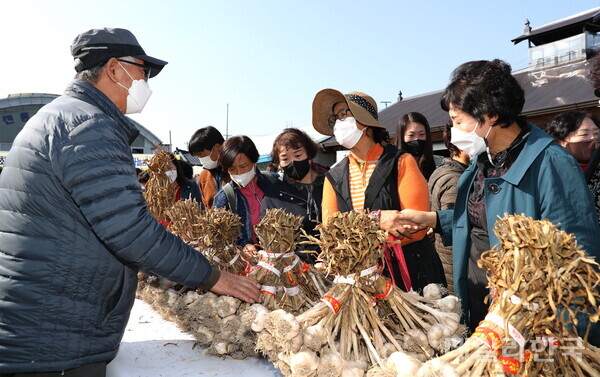 의성마늘축제에서 한 방문객이 마늘을 구입하고 있다. 의성군 제공