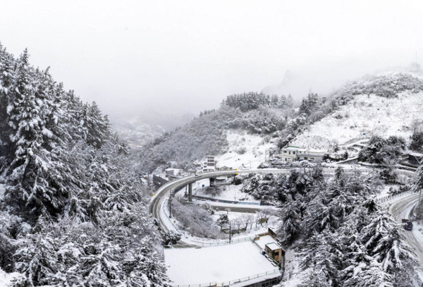 울릉군에 지난18일 새벽부터 밤새 30㎝ 가까운 많은 눈이 내려 울릉읍 도동리 울릉대교 전체가 새하얀 눈으로 뒤덮여 있다. 울릉군 제공