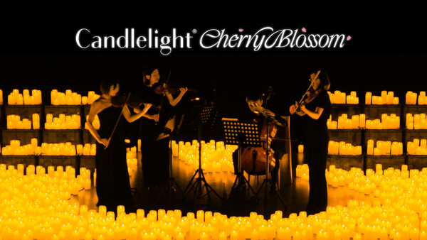꽃 시즌의 정수를 담은 새로운 캔들라이트 시리즈 ‘캔들라이트 벚꽃’이 4월 서울, 부산, 대구에서 공연한다.