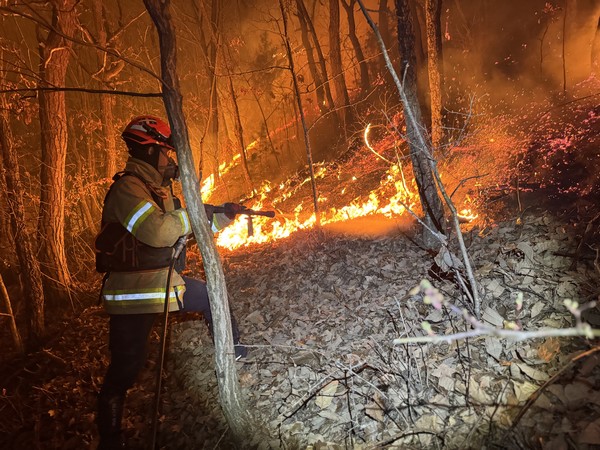 산림청 중앙사고수습본부가 지난 22일 경상북도 의성군에서 발생한 산불을 진화하기 위해 헬기를 비롯해 인력, 진화차량를 투입해 불길을 잡고 있다고 23일 밝혔다. 사진은 소방대원이 진화작업을 펼치는 모습. 산림청 제공
