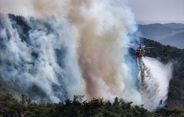 경북 의성군 대형 산불 발생 이틀째인 23일 의성군 산불 발화지점 인근 야산에서 산림청 헬기가 산불 진화를 하고 있다. 연합뉴스