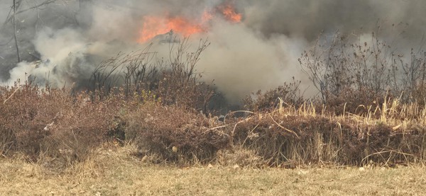  26일 오후 경북 의성군 신평면에서 강원 인제 임차 헬기인 S76 에어팰리스 1200L가 추락해 화염에 휩싸여 있다.. 연합뉴스