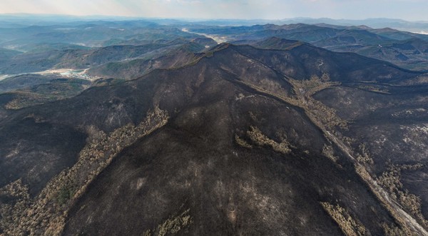 28일 경북 의성군 산림이 산불에 초토화된 모습을 보이고 있다.산림청은 이날 일주일간 이어진 경북 산불의 주불 진화 완료를 선언했다. 연합뉴스