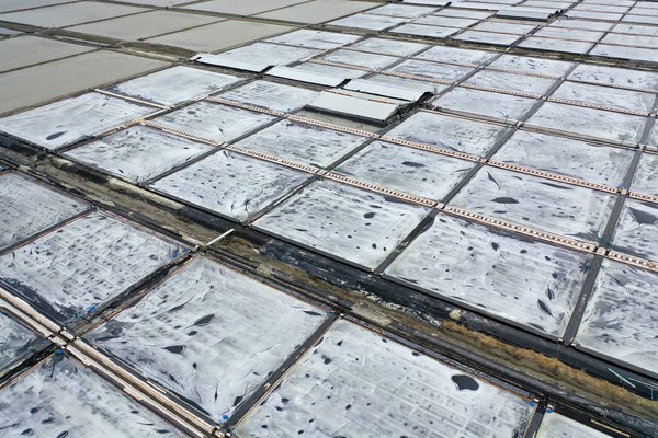 전남 신안군 증도면 태평염전 모습. 연합뉴스