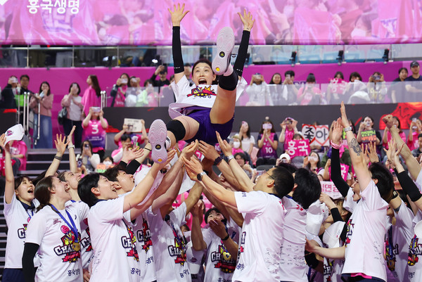  8일 인천 삼산월드체육관에서 열린 프로배구 V리그 여자부 챔피언결정전 흥국생명과 정관장의 5차전 경기. 세트스코어 3-2로 승리하며 우승을 차지한 흥국생명 선수들이 김연경을 헹가래 치고 있다. 연합뉴스 