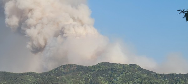 28일 오후 2시 1분께 대구 북구 노곡동 함지산에서 발생한 산불로 연기가 치솟고 있다. 독자 제공