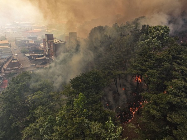 28일 오후 2시 1분께 대구 북구 노곡동 함지산에서 발생한 산불이 인근인 조야동 민가까지 확산하고 있다. 연합뉴스