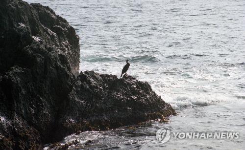 울릉도. 연합뉴스 자료사진