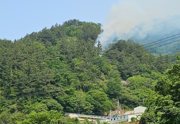 1일 울릉군 서면 남양리 야산에 산불이 발생해 산림당국이 진화작업을 하고 있다. 산림청 제공