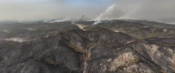 경북 의성군 산불 발생 나흘째인 3월 25일 산불이 휩쓸고 간 의성군 산림이 폐허가 된 모습을 보이는 가운데 산불이 안동시 쪽으로 번져나가고 있다. 연합뉴스