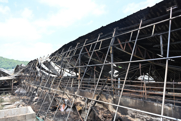 29일 오전 7시 41분께 군위군 군위읍 수서리 소재 돈사에서 불이 났다. 사진은 피해 현장. 대구소방안전본부제공