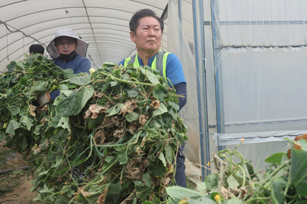 정청래 신임 더불어민주당 대표가 3일 오전 전남 나주시 노안면 오이농가를 찾아 수해 복구 작업을 하고 있다. 연합뉴스