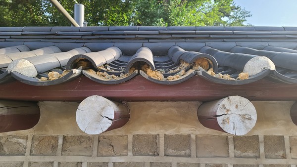 유네스코 세계유산인 종묘 담장 기와가 훼손돼 있다. 국가유산청 제공