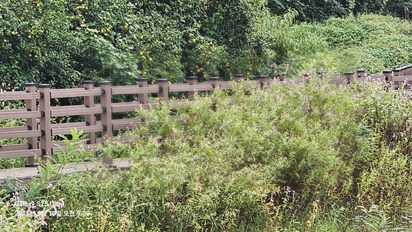 경주시가 조성한 심곡 저수지 명품 둘레길 일부 구간. 낚시꾼 차량에 부서진 안전 펜스가 수개월째 방치돼 있어 관리 부실이 도마 위에 올랐다.