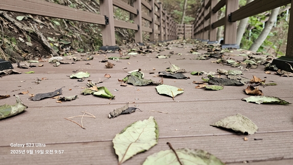 경주시가 조성한 심곡 저수지 명품 둘레길 일부 구간. 낚시꾼 차량에 부서진 안전 펜스가 수개월째 방치돼 있어 관리 부실이 도마 위에 올랐다.