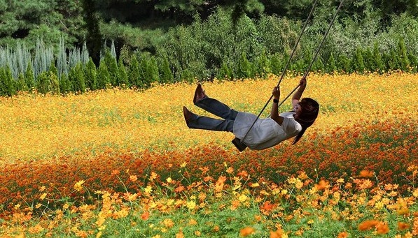 9일 대구와 경북지역은 대체로 흐린 가운데 곳에 따라 새벽녘 비가 내리겠다. 예상 강수량은 0.5~10㎜ 미만. 연합뉴스