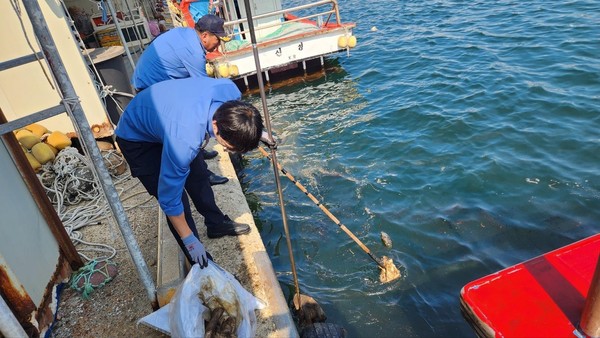 포항 영일만항에 계류 중인 선박에서 기름이 유출돼 해경이 방제작업을 하고 있다. 포항해양경찰서 제공
