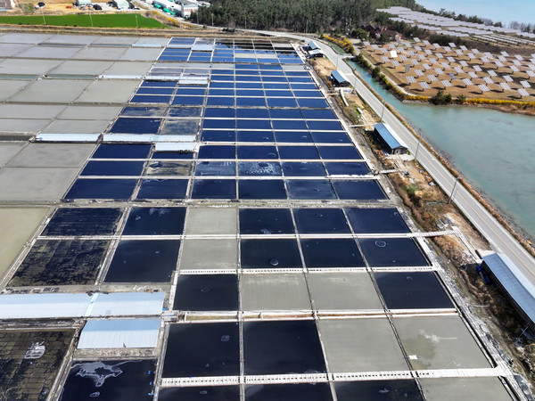 사진은 전남 신안군 증도에 위치한 태평염전의 모습. 