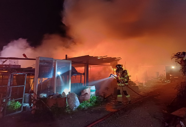 2일 오후 6시 43분쯤 경북 포항시 북구 흥해읍 한 개 사육장에서 불이 났다. 경북소방본부 제공