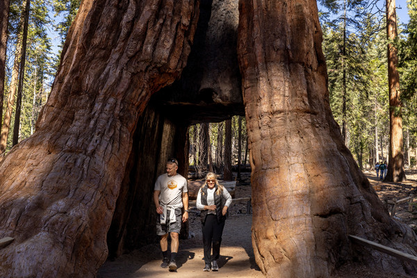 미국의 요세미티 국립공원. AP 연합뉴스 자료사진
