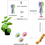 포스텍, 면역증강제 필요 없는 AI 백신 개발