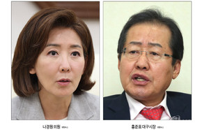 "이슈만 키워" "좀생이 짓"... 나경원·홍준표, 한동훈 비판 - 뉴스 썸네일 이미지