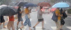 호우 이미지