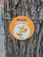 영주시, 은행나무 가로수에 열매 표찰 도입... 악취·낙과 피해 최소화 - 뉴스 썸네일 이미지
