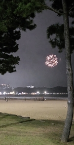 [르포] "펑펑 터지는 <b>폭죽</b>, 멈춘 단속"…영일대 밤바다 뒤덮은 불꽃놀이